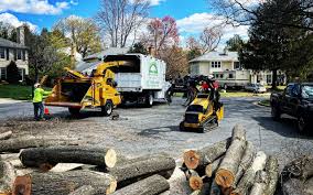 Best Arborist Consultation Services  in Durham, NC