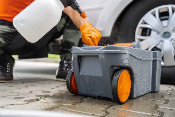 Best Tree Maintenance Programs  in Durham, NC